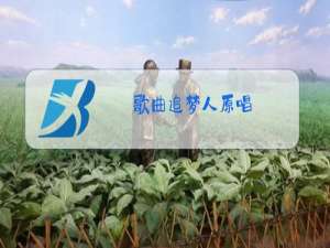 歌曲追梦人原唱