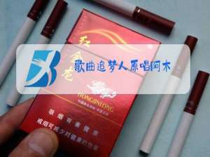 歌曲追梦人原唱阿木