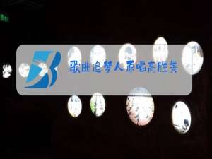 歌曲追梦人原唱高胜美