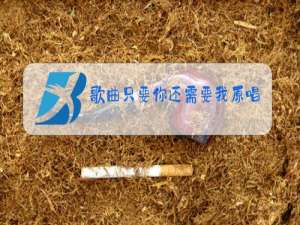 歌曲只要你还需要我原唱完整版思思