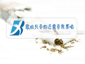 歌曲只要你还需要我原唱完整版原唱