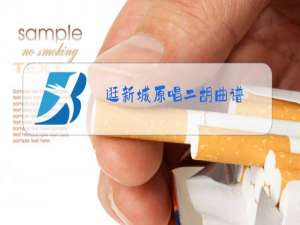 逛新城原唱二胡曲谱