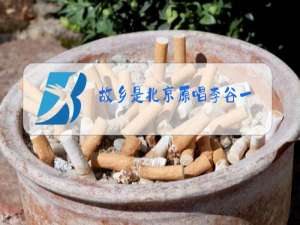 故乡是北京原唱李谷一