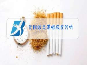 贵阳败类原唱版在线听