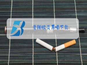 贵阳败类原唱下载