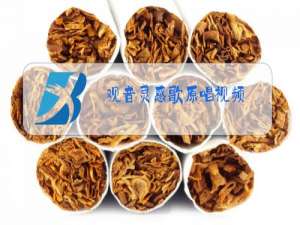 观音灵感歌原唱视频