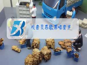 观音灵感歌原唱童声