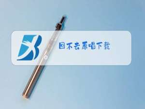 回不去原唱下载