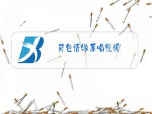 荷包情缘原唱视频