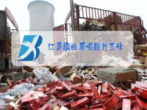 红唇歌曲原唱图片王峰