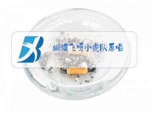 蝴蝶飞呀小虎队原唱,视频