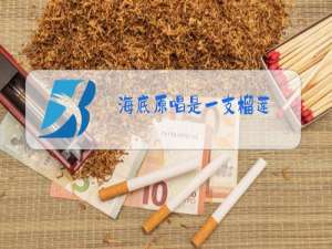 海底原唱是一支榴莲