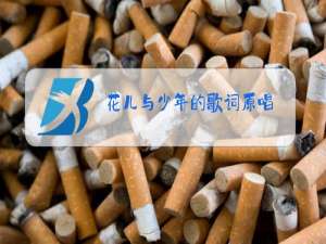 花儿与少年的歌词原唱