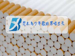 花儿与少年歌曲原唱兰天