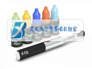 花儿与少年原唱吕继宏