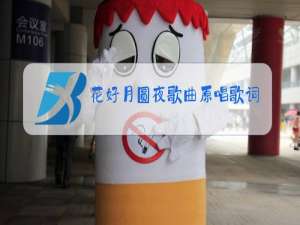 花好月圆夜歌曲原唱歌词