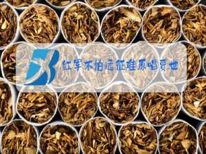 红军不怕远征难原唱贾世俊