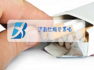 沪剧红梅赞原唱