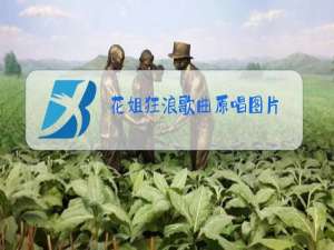 花姐狂浪歌曲原唱图片