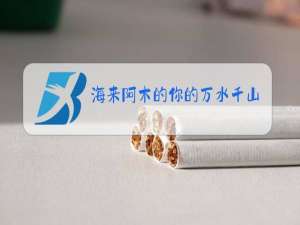 海来阿木的你的万水千山原唱