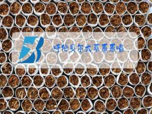 呼伦贝尔大草原原唱