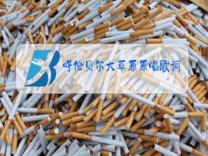 呼伦贝尔大草原原唱歌词曲