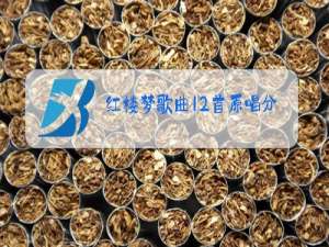 红楼梦歌曲12首原唱分骨肉