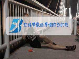 红楼梦歌曲原唱陈力的现状