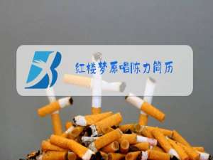 红楼梦原唱陈力简历