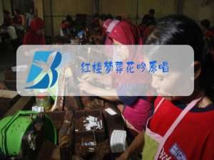 红楼梦葬花吟原唱