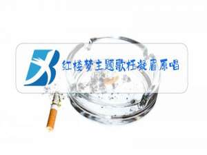 红楼梦主题歌枉凝眉原唱歌词