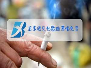 后来遇见他歌曲原唱免费