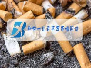 和你一起看草原原唱简谱配器