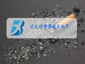 好人好梦原唱黑鸭子