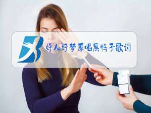好人好梦原唱黑鸭子歌词