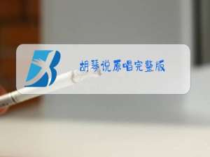 胡琴说原唱完整版