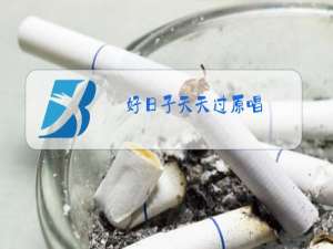 好日子天天过原唱