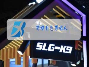 荷塘月色原唱人