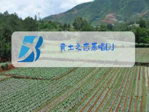 黄土之恋原唱DJ