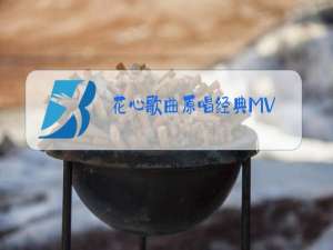 花心歌曲原唱经典MV