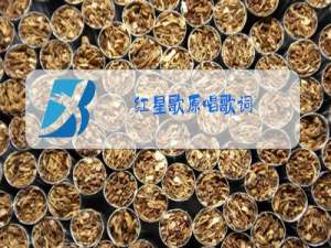 红星歌原唱歌词