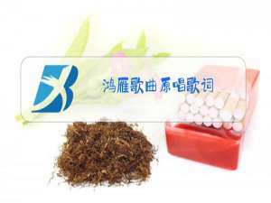 鸿雁歌曲原唱歌词