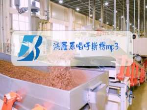 鸿雁原唱呼斯楞mp3