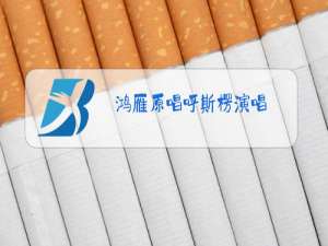 鸿雁原唱呼斯楞演唱