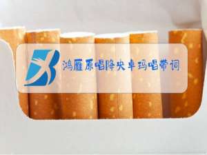 鸿雁原唱降央卓玛唱带词