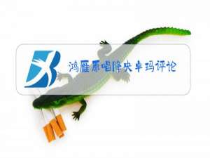 鸿雁原唱降央卓玛评论