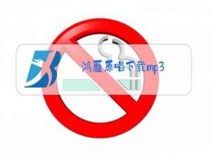 鸿雁原唱下载mp3