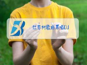 红枣树歌曲原唱DJ