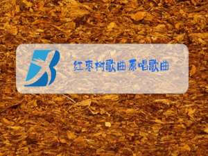 红枣树歌曲原唱歌曲,任妙音树