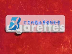 红枣树歌曲原唱任秒音